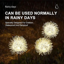 Load image into Gallery viewer, 2-Pack: Outdoor Solar Dandelion Lawn Lights
