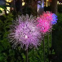 Load image into Gallery viewer, 2-Pack: Outdoor Solar Dandelion Lawn Lights
