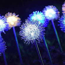 Load image into Gallery viewer, 2-Pack: Outdoor Solar Dandelion Lawn Lights
