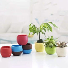 Load image into Gallery viewer, 2-Pack: Plastic Plant Flower Pots
