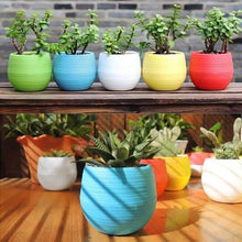 Load image into Gallery viewer, 2-Pack: Plastic Plant Flower Pots
