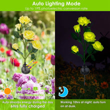 Load image into Gallery viewer, 2-Pack: Solar Powered Rose Flower LED Decorative Lamp

