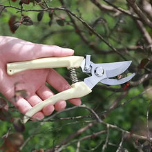 Load image into Gallery viewer, 2-Pack: Stainless Steel Bypass Pruning Shears
