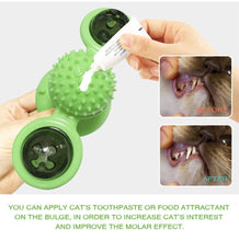 Load image into Gallery viewer, 2 PCS Set Interactive Cat Toy Windmill Portable Scratch Hair Brush Grooming Shedding Massage Suction Cup Catnip Cats Puzzle Training Toy Portable Turntable Rotating Cat Toy Scratching Tickle Hair Brush
