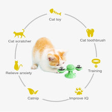 Load image into Gallery viewer, 2 PCS Set Interactive Cat Toy Windmill Portable Scratch Hair Brush Grooming Shedding Massage Suction Cup Catnip Cats Puzzle Training Toy Portable Turntable Rotating Cat Toy Scratching Tickle Hair Brush
