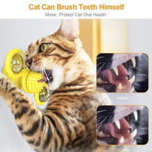 Load image into Gallery viewer, 2 PCS Set Interactive Cat Toy Windmill Portable Scratch Hair Brush Grooming Shedding Massage Suction Cup Catnip Cats Puzzle Training Toy Portable Turntable Rotating Cat Toy Scratching Tickle Hair Brush
