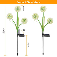 Load image into Gallery viewer, 2-Piece: 36 LED Dandelion Solar Lights
