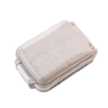 Load image into Gallery viewer, 2-Piece: Portable Plastic Pill Box
