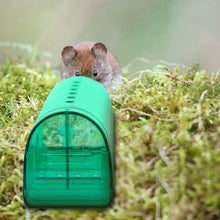 Load image into Gallery viewer, 2-Pieces: Reusable Humane Mouse Trap
