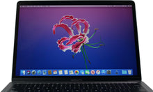 Load image into Gallery viewer, MacBook Pro (2017) 13-inch – Intel Core i5 2.3GHz – 8GB RAM Up to 1TB SSD – Space Gray
