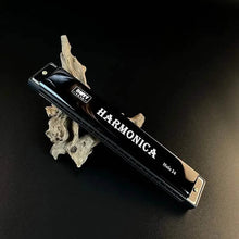 Load image into Gallery viewer, 24 Hole Harmonica Mouth Metal Organ
