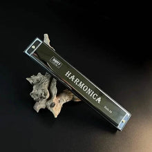 Load image into Gallery viewer, 24 Hole Harmonica Mouth Metal Organ
