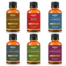 Load image into Gallery viewer, 6-Piece: Aromatherapy Therapeutic Grade Essential Oils Gift Set
