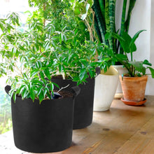 Load image into Gallery viewer, 3-Pack: Planter Bags Breathable Planting Fabric Pots with Harvest Window
