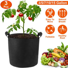 Load image into Gallery viewer, 3-Pack: Planter Bags Breathable Planting Fabric Pots with Harvest Window
