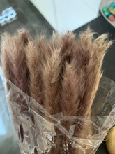 Load image into Gallery viewer, 30/50pcs Bulrush Natural Dried Small Pampas Grass Artificial Decor Wedding Flower Bunch Home Office  Floor Vase Filler for Living Room Kitchen And Event Decoration

