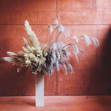 Load image into Gallery viewer, 30/50pcs Bulrush Natural Dried Small Pampas Grass Artificial Decor Wedding Flower Bunch Home Office  Floor Vase Filler for Living Room Kitchen And Event Decoration
