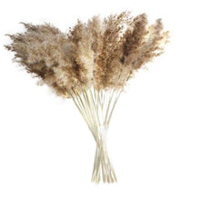 Load image into Gallery viewer, 30/50pcs Bulrush Natural Dried Small Pampas Grass Artificial Decor Wedding Flower Bunch Home Office  Floor Vase Filler for Living Room Kitchen And Event Decoration
