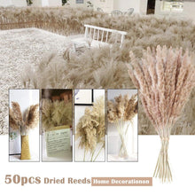Load image into Gallery viewer, 30/50pcs Bulrush Natural Dried Small Pampas Grass Artificial Decor Wedding Flower Bunch Home Office  Floor Vase Filler for Living Room Kitchen And Event Decoration

