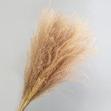 Load image into Gallery viewer, 30pcs Natural Dried Pampas Grass Bouquet Pampas Grass Reeds Flowers Bulrush Bouquets Durable For for Vase Artificial Grass Room Décor Wedding Decorations
