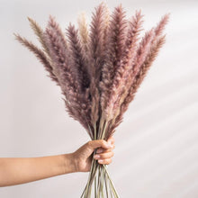 Load image into Gallery viewer, 30pcs Natural Dried Pampas Grass Bouquet Pampas Grass Reeds Flowers Bulrush Bouquets Durable For for Vase Artificial Grass Room Décor Wedding Decorations
