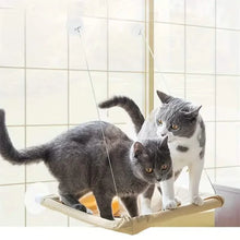 Load image into Gallery viewer, 360¬∞ Cat Window Hammock: A Space-Saving Sunny Seat for Indoor Cats!
