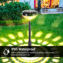 Load image into Gallery viewer, 4-Pack: Solar Pathway Color Changing Garden Light
