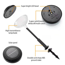 Load image into Gallery viewer, 4-Pack: Solar Pathway Color Changing Garden Light
