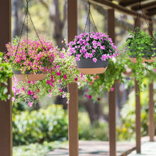 Load image into Gallery viewer, 4-Piece: 9.64" Diameter Hanging Planter with Drainage Holes

