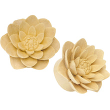 Load image into Gallery viewer, 1 inch Organic Crocodile Wood Lily Hand Carved Plug Set

