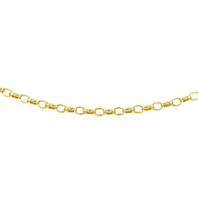 Load image into Gallery viewer, 3.2mm 14k Yellow Gold Oval Rolo Chain
