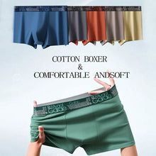 Load image into Gallery viewer, 5-Pack: Plus Size Men's Boxer Briefs
