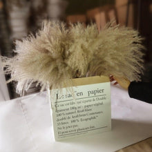 Load image into Gallery viewer, 50Pcs/Bunch 50cm Natural Phragmites Reed Flowers Bulrush Bouquet Big Dried Pampas Grass Wedding Decoration Home Fall Decor
