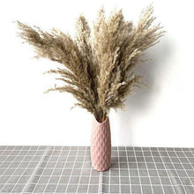 Load image into Gallery viewer, 50Pcs/Bunch 50cm Natural Phragmites Reed Flowers Bulrush Bouquet Big Dried Pampas Grass Wedding Decoration Home Fall Decor
