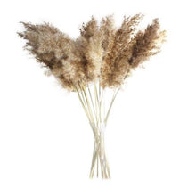 Load image into Gallery viewer, 50Pcs/Bunch 50cm Natural Phragmites Reed Flowers Bulrush Bouquet Big Dried Pampas Grass Wedding Decoration Home Fall Decor
