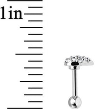 Load image into Gallery viewer, Clear Crystal 18G Faithful Heart Cartilage Tragus Earring
