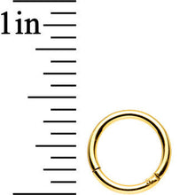 Load image into Gallery viewer, 16G 5/16 Gold Anodized Titanium Hinged Segment Ring
