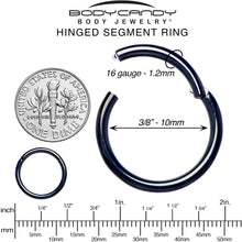 Load image into Gallery viewer, 16G 3/8 Black PVD Hinged Segment Ring
