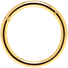 Load image into Gallery viewer, 16G 3/8 Gold Tone Anodized Hinged Segment Ring
