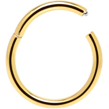 Load image into Gallery viewer, 16G 3/8 Gold Tone Anodized Hinged Segment Ring
