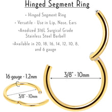 Load image into Gallery viewer, 16G 3/8 Gold Tone Anodized Hinged Segment Ring
