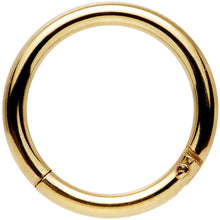Load image into Gallery viewer, 14G 3/8 Gold Tone Anodized Hinged Segment Ring
