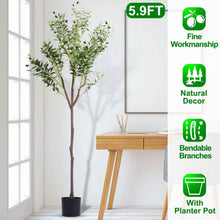 Load image into Gallery viewer, 5.9ft Artificial Olive Tree with Lush Olive Branches and Fruits with Black Planter Pot
