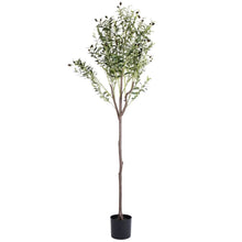 Load image into Gallery viewer, 5.9ft Artificial Olive Tree with Lush Olive Branches and Fruits with Black Planter Pot

