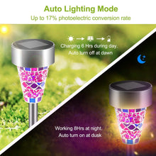 Load image into Gallery viewer, 6-Pack: Solar Garden Lights IP44 Water Resistant
