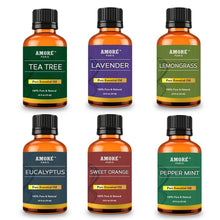 Load image into Gallery viewer, 6-Piece: Aromatherapy Therapeutic Grade Essential Oils Gift Set
