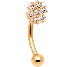 Load image into Gallery viewer, 16G 5/16 Gem Golden Variety Curved Eyebrow Daith Rook Set of 4

