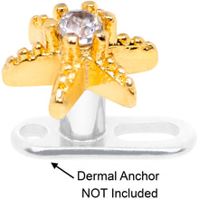 Load image into Gallery viewer, 14G Clear CZ Gem Gold Tone Starfish Dermal Anchor Top

