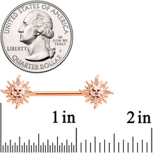 Load image into Gallery viewer, 14G 5/8 Glitter Inlay Rose Gold Tone Sun Barbell Nipple Ring Set
