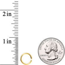 Load image into Gallery viewer, 16G 5/16 Gold Tone Titanium IP Circular Ring
